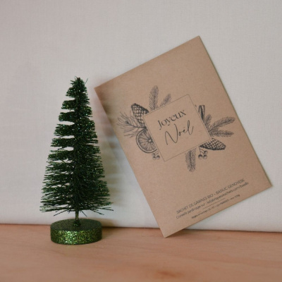 Sachet de graines <br /> Joyeux Noël
